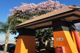 “PA国际厅科技”2018年南非约翰内斯堡医疗器械展